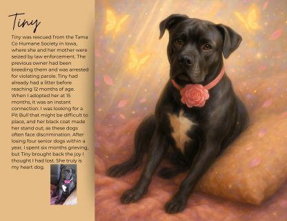 Magical PitBullary 2026 Calendar "PRE_ORDER" - Image 2