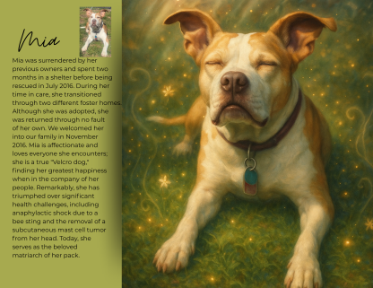 Magical PitBullary 2026 Calendar "PRE_ORDER" - Image 5