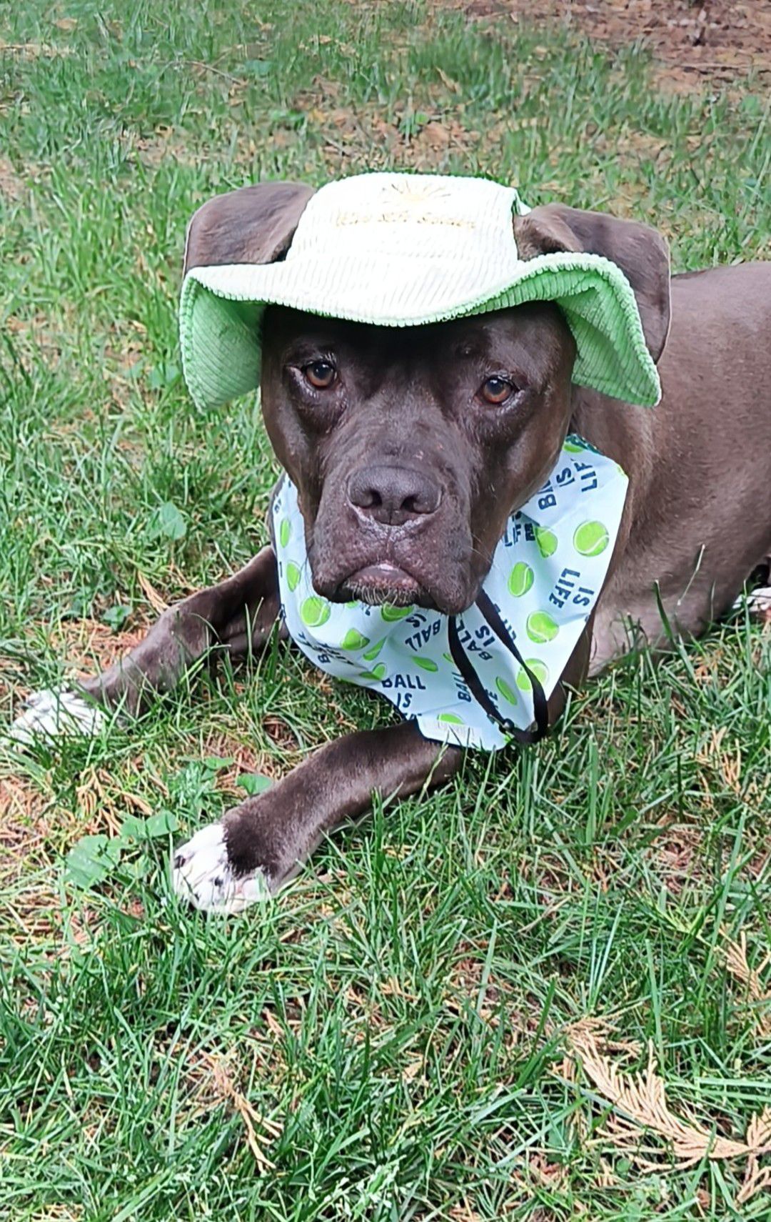 001 cooper calendar contest 2026