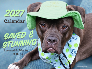 calendar page 2027