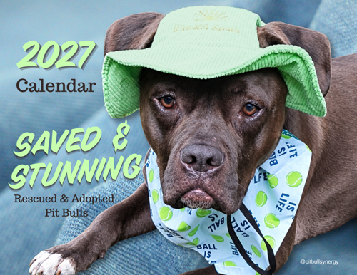 calendar page 2027