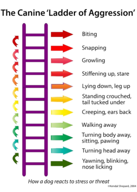 ladder of canine aggression
